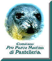 Il Mare a Milano 2001 Odissea della vita — Con il contributo di (sezione) · parte 2 – immagine 32
