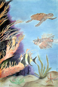 Concorso di disegno Uno sguardo sott'acqua i vincitori del 2002 — Sezione: medie · parte 5 – immagine 5