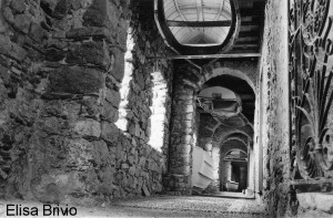I vincitori del concorso 2002 Il Mare… in Camera — Categoria: esordienti — Guido Picci (2003) – immagine 2