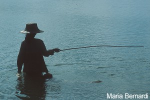 I vincitori del concorso 2002 Il Mare… in Camera — Categoria: esordienti — Guido Picci (2003) – immagine 3