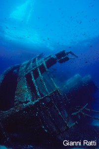 I vincitori del concorso 2002 Il Mare… in Camera — Categoria: esordienti — Maurizio Guandalini e Sasha Benedet (2003) – immagine 2
