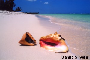 © DANILO SILVERA