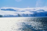 Il Mare a Milano VIII edizione - Viaggio nel blu — Pianeta Mediterraneo (2004) – immagine 4