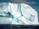 Il Mare a Milano IX edizione - Un Pianeta un Oceano — Un pianeta un oceano (2005) – immagine 3