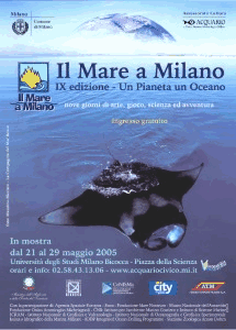 Il Mare a Milano: l'archivio delle edizioni – immagine 39