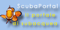 Vista il sito