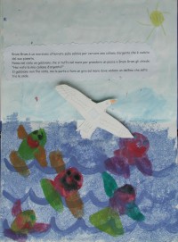 I vincitori del concorso Uno sguardo sott'acqua (2001) · parte 5 – immagine 4