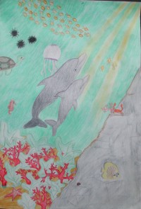 I vincitori del concorso Uno sguardo sott'acqua — Categoria: disegni Sezione: medie (2001) · parte 4 – immagine 5