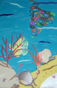 I vincitori del concorso Uno sguardo sott'acqua — Categoria: disegni Sezione: medie (2001) · parte 1 – immagine 8