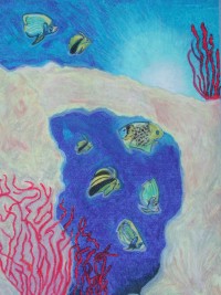 I vincitori del concorso Uno sguardo sott'acqua — Categoria: disegni Sezione: medie (2001) · parte 2 – immagine 6