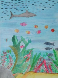 I vincitori del concorso Uno sguardo sott'acqua — Categoria: disegni Sezione: medie (2001) · parte 2 – immagine 8