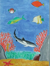 I vincitori del concorso Uno sguardo sott'acqua — Categoria: disegni Sezione: medie (2001) · parte 2 – immagine 11