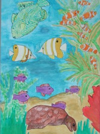I vincitori del concorso Uno sguardo sott'acqua — Categoria: disegni Sezione: medie (2001) · parte 2 – immagine 12