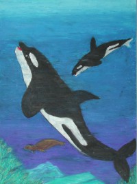 I vincitori del concorso Uno sguardo sott'acqua — Categoria: disegni Sezione: medie (2001) · parte 2 – immagine 16