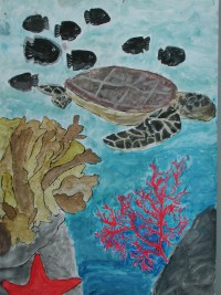 I vincitori del concorso Uno sguardo sott'acqua — Categoria: disegni Sezione: medie (2001) · parte 2 – immagine 21