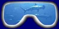 Esposizioni e spazi interattivi — Le immagini più suggestive su sistemi video offerti da TRONY (2001) – immagine 11