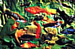 Esposizioni e spazi interattivi — Le immagini più suggestive su sistemi video offerti da TRONY (2001) – immagine 5