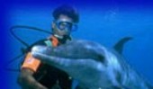 Esposizioni e spazi interattivi — Le immagini più suggestive su sistemi video offerti da TRONY (2001) – immagine 9