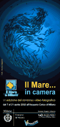 Il Mare a Milano: l'archivio delle edizioni – immagine 202